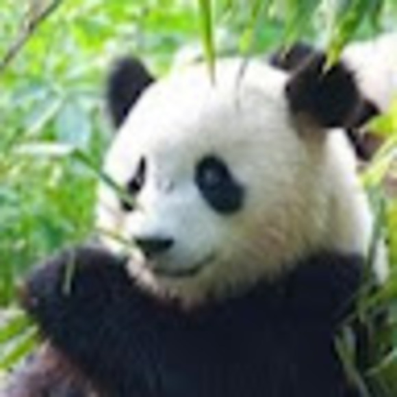 Meet your Posher, Laura - Picture 1 of 1